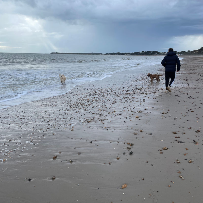 Photo of Lloyd Lambe walking his dogs on the beach